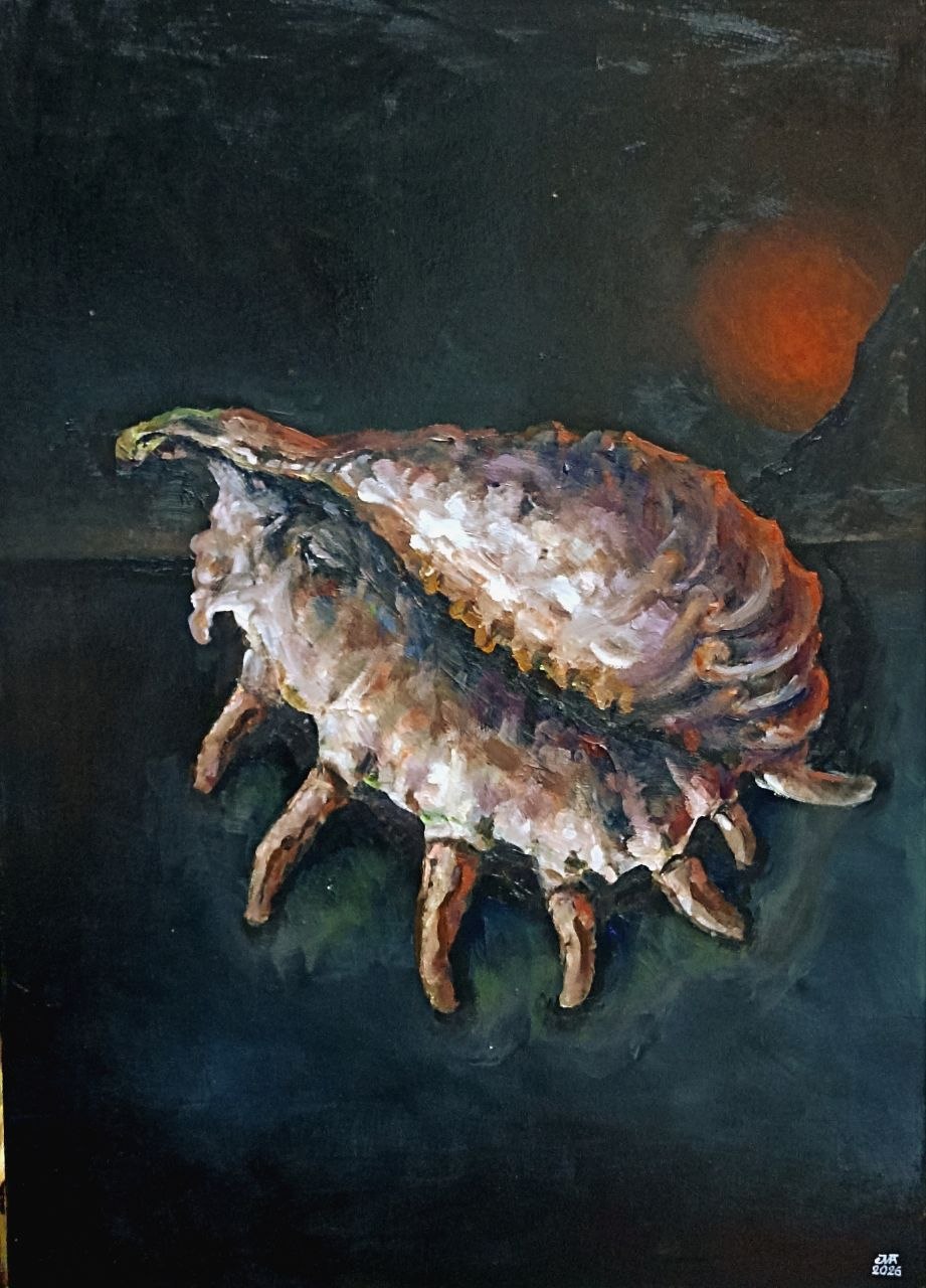 Сон ракушки